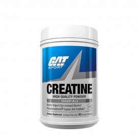 GAT CREATINE 300GR